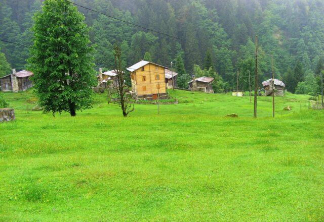 Trabzon